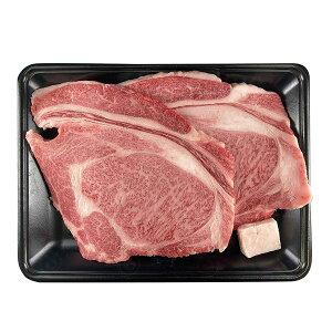 ݖa[XXe[L2iv500gj Mtg 蕨 yYz[24]