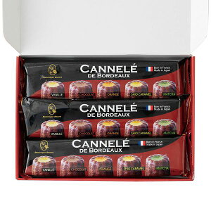 h~jNhD[Z̓X v`JkMtg Mtg 蕨 yYz[24]