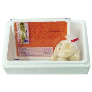 ԑY kCY EقĂZbg Mtg 蕨 yYz[24]