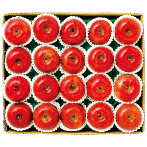 쌧Y MBTӂ 4.8kg Mtg Ε [24]