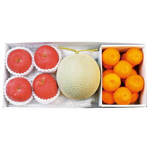 BY }XN쌧Y TtW4ʁa̎RY Lc݂Zbg Mtg Ε [24]