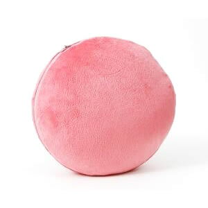 �������Ă���������ق���!�v�`�N�b�V���� [00]