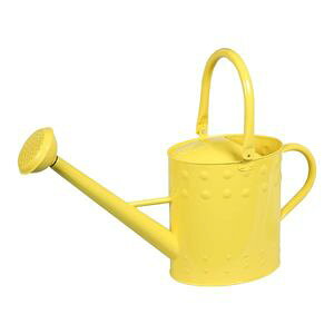 S@W[@CG[@9.5L @81517@mΑn[01]