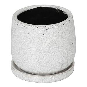 DULTON �O�[�Y�h�|�b�g���E���h�@L white K655-851LWT�@DULTON�@�_���g��[01]