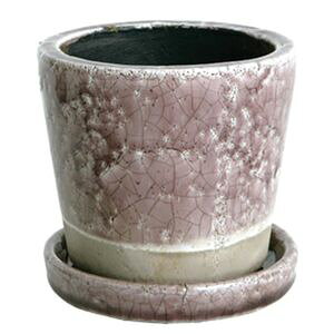 DULTON �O���[�Y�h�|�b�g�@S ���C�g�p�[�v�� CH15-G527LPL�@DULTON�@�_���g��[01]