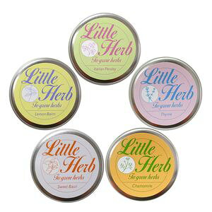 gn[u@NEWII@͔|Lbg@͔|Zbgysz[02]