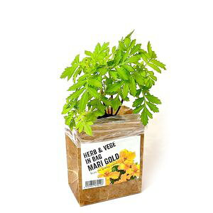 y͔|LbgzHERB & VEGE IN BAG@ނ18ށII[02]