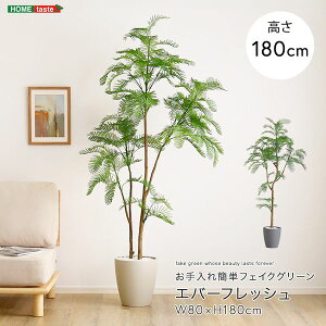 ȒPtFCNO[@Go[tbV@LTCY(180cm)[03]