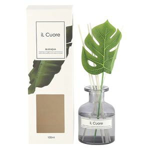 CNI[fBt[U[ 100ml u[ANA iF6_j[09]