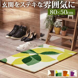 ���փ}�b�g ���� �􂦂� ���փ}�b�g �k�t�H�[���A�l 80x50cm ���� �����` �� ������� �G���g�����X�}�b�g �}�b�g ���O�}�b�g �E�H�b�V���u�� ����~�� �X�~�m�G ���{���y����s�z [11]