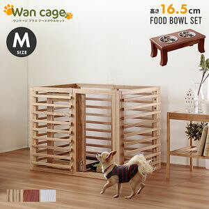 P[W vX MTCY pC X^h t[h {E ( 16.5cm uE ) Zbg[25]