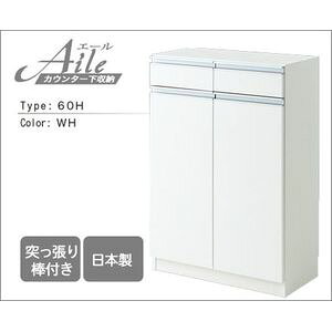 G[60H JE^[[@Iׂ2F@{@˂^t[25]