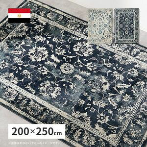 EBgO J} 200×250cm EBgD IG^ AeB[N zbgJ[ybgΉ g[Ή GWvg  [29]