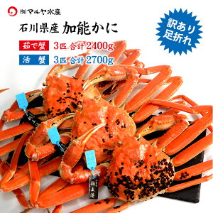 11/10ȍ~o Jj 󂠂  I YCKj 킢I \ 󂠂葫܂ ΐ쌧Y 2`3C v1.0`2.4kgȏ ^Ot 䥂ŊI I Jj͂\ 