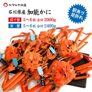 I Jj 󂠂  I YCKj 킢I \ 󂠂葫܂ ΐ쌧Y 2`6C v1.0`2.0kg ^Ot 䥂ŊI I Jj͂\ 