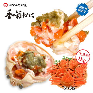 11/10ȍ~o Jj 󂠂  I YCKj ZRKj I   ܂ `TCY lߍ킹 l䥂 Yn  