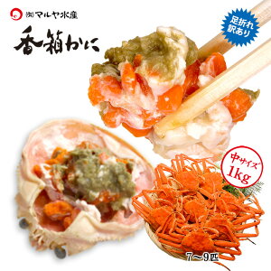 I Jj 󂠂  I YCKj ZRKj I   ܂ `TCY lߍ킹 l䥂 Yn  