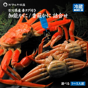 I Jj  I YCKj ZRKj 킢I \ II  lߍ ΐ쌧Y 1`5lO  Mtg Yn 