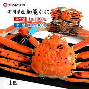 I Jj  I YCKj 킢I \ ΐ쌧Y 500`1200g 1`5C ^Ot 䥂ŊI I Jj͂\ Yn  