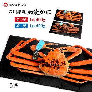 I Jj  I YCKj 킢I \ ΐ쌧Y 250`400g 1`5C ^Ot 䥂ŊI I Jj͂\ Yn  3CPʈȏő