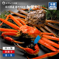 蟹漁解禁 カニ かに 蟹 ズワイガニ ずわい蟹 加能かに 石川県産 500〜1200g 1〜5匹 青タグ付き 茹で蟹 活…