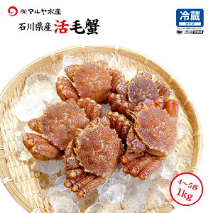 уKj ъI 󂠂 4`5C 1.0kg Zbg ΐ쌧Y I or 䥂ŊI Ⓚi  \o  Mtg ʔ  Yn 