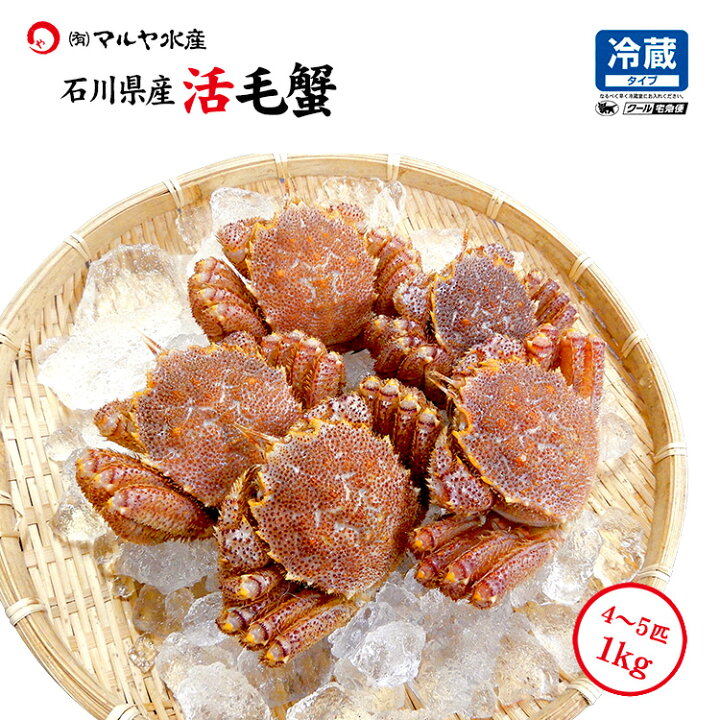 楽天市場】毛ガニ 毛蟹 訳あり 4～5匹 1.0kg セット 石川県産 活蟹 or  