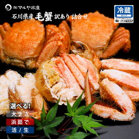 毛ガニ 毛蟹 訳あり 1〜5kg セット 石川県産 活蟹 or 茹で蟹 未冷凍品 加賀 能登 贈答 ギフト 通販 お取り寄せ 産地直送 送料無料