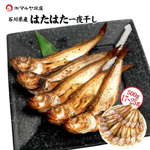  銱 ͂͂ ΐ쌧 500g 1kg 2kg Yn n^n^ Ђ ʔ 