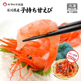 甘えび 甘海老 子持ち 250g〜1kg お刺身用 石川県産 えび 海老 贈答 ギフト 産地直送 お取り寄せ