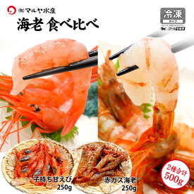 甘エビ 子持ち ＆ 赤ガスエビ 食べ比べ セット 合計500g お刺身用 石川県産 えび 海老 産地直送 お取り寄せ 送料無料