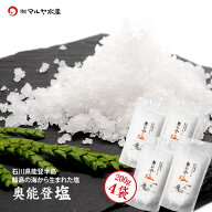奥能登塩 200g 4袋 石川県 輪島産 メール便 送料無料 能登半島 海水で作る 海塩 中道商店
