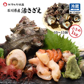 サザエ さざえ 石川県 1〜5kg 詰合せ 産地直送 冷蔵 いきさざえ 活さざえ 栄螺 刺身 つぼ焼き BBQ 活貝 通販 お取寄せ 送料無料