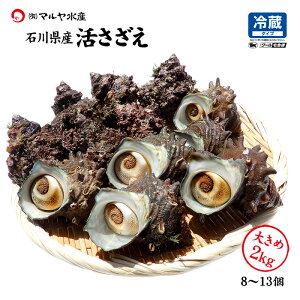 �T�U�G ������ �ΐ쌧 1�`5kg �l���� �Y�n���� �① ���������� �������� �h�� �h�g �ڏĂ� BBQ ���L �ʔ� ����� ��������