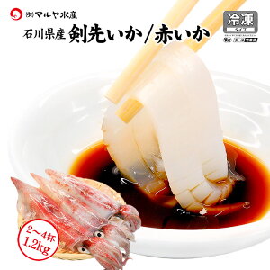 CJ CJhg  PTLCJ CJ CJ  ԃCJ hgp ΐ쌧Y l v800`1200g }Ⓚ Yn  