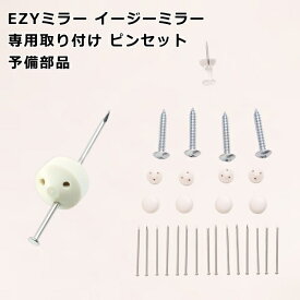 鏡 取り付け 石膏ボード 木製壁 合板 ピン セット 平型ピース キャップ付き EZYミラー イージーミラー 専用 平型ピース キャップ付きセット 石膏ボードピン付き タッピングビス付き ダルマピン付き 予備部品【イージーミラー専用ピンセット】