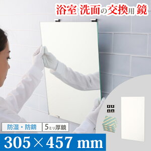 \即日発送します/ 鏡 化粧鏡 浴室 交換 305×457 mm お風呂 風呂場 バスミラー 壁掛け 防湿 防錆 耐食鏡 AGC 国産メーカー 日本製 鏡専門店 かがみどっとねっと 大阪