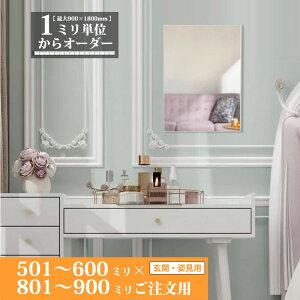 鏡 サイズオーダー ミラー 501 mm 〜 600 mm × 801 mm 〜 900 mm 壁掛け 玄関 姿見 全身 大きい スリム ロング おしゃれ ドレッサー シンプル 国産 旭硝子 AGC サンミラー 鏡の取り付け 日本製 ミリ単位