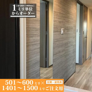 鏡 サイズオーダー ミラー 501 mm 〜 600 mm × 1401 mm 〜 1500 mm 壁掛け 玄関 姿見 全身 大きい スリム ロング おしゃれ ドレッサー シンプル 国産 旭硝子 AGC サンミラー 鏡の取り付け 日本製 ミリ単