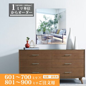 鏡 サイズオーダー ミラー 601 mm 〜 700 mm × 801 mm 〜 900 mm 壁掛け 玄関 姿見 全身 大きい スリム ロング おしゃれ ドレッサー シンプル 国産 旭硝子 AGC サンミラー 鏡の取り付け 日本製 ミリ単位