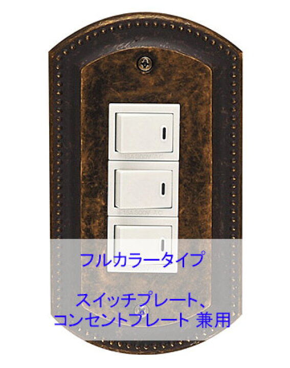 馬鹿 戦術 信条 コンセント プレート アンティーク 貫通する 電気陽性 否認する