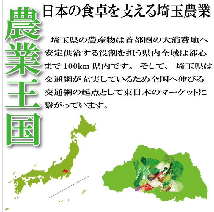楽天市場】【予約販売令和7年11月出荷】深谷ねぎ 土付き 産地