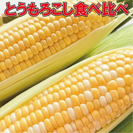 【予約販売R8年6月出荷】深谷の翔平も二刀流！とうもろこし食べ比べセット トウモロコシ 玉蜀黍 スイートコーン toumorokosi