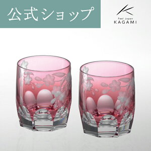 y|Cg5{Ly[zy[J[cXzJK~NX^ KAGAMIOB[ yAbNOX ECXL[OX ĒOX TPS117-2678-CAUMtg COyY i j 