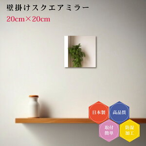 { Ǌ| ` XNGA lp DIY Zbg Vv gC  ^ 20cm h R[fBl[g  ȒPt  N[[bg rO  ǖʋ EH[~[ Vz tH