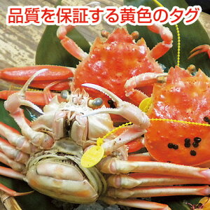 1-2 C zO킢ɁEɋl C 킢ɂ̏d750g`850gy①zyz䌧  zOɍΕ Ε 蕨