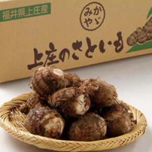 15-1���̗�����10kgL�ϕ��ꂵ�Ȃ��A�ς����낪���A���ł�ɍœK�I�������� ���䌧 ���� ���y�Y ���Y���Ε� ���Ε� ���蕨