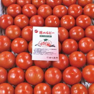 5-1 福井特産 越のルビー（2kg）L〜2L【冷蔵】同送不可【送料込】福井 福井県 トマト ギフトおいしい 福…