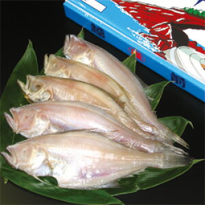 10-3 zOnꂢ銱A 600gyⓀz 䌧  yY YzO` ꂢ 銱