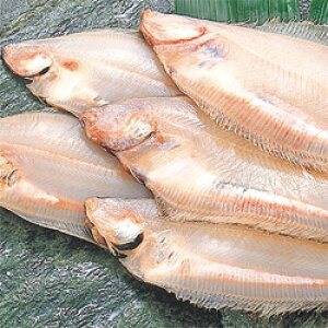 10-3@ zO nꂢ銱B 900g yⓀz 䌧  yY YJC 銱